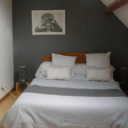 Independant Avec Jardin Au Bord De La Riviere - Fr-1-489-247 Herisson